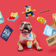BarkBox
